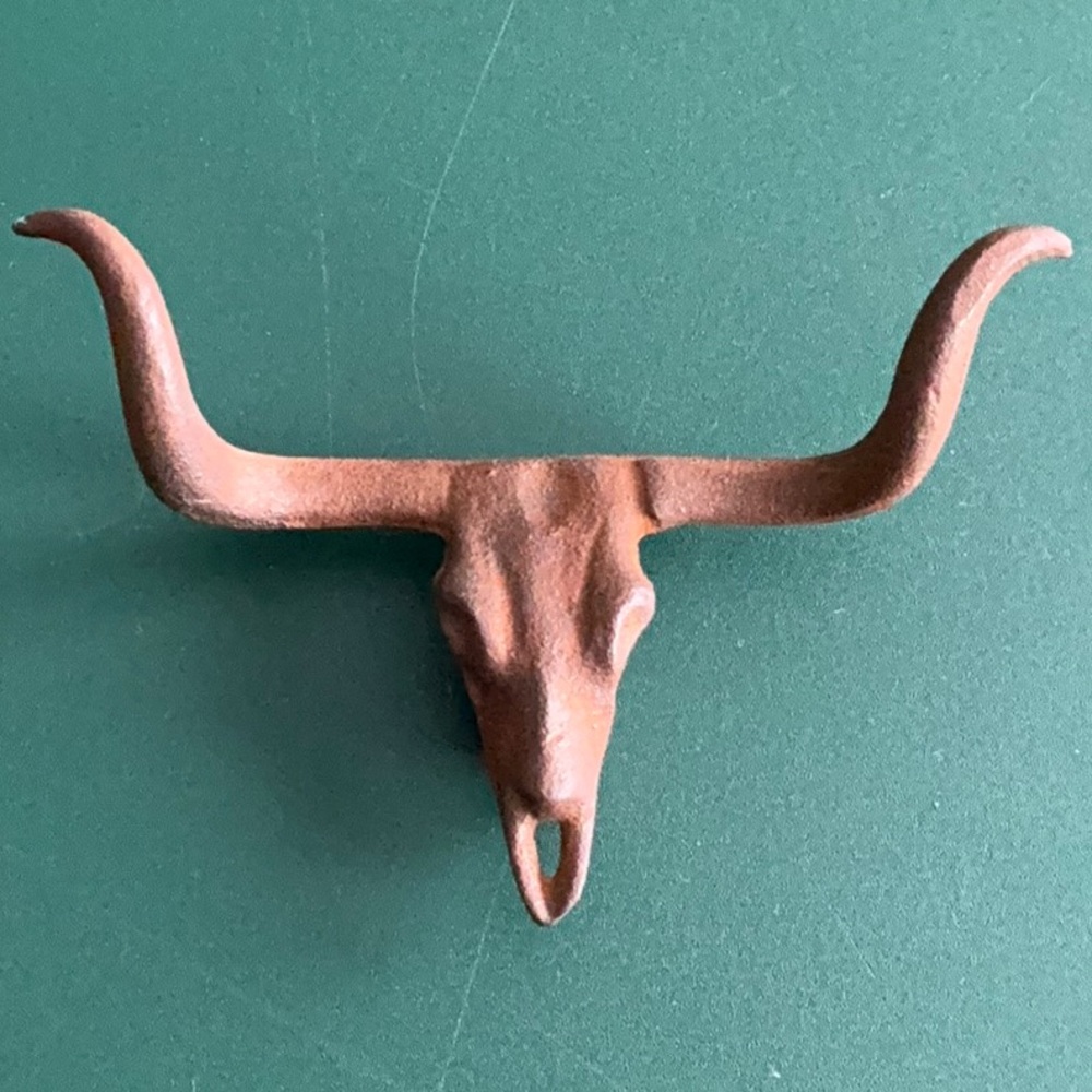 Cast Iron Longhorn Wall decor
